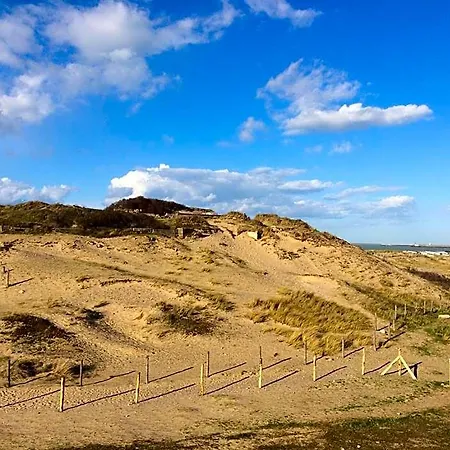 Au Pied De La Dune 게스트하우스 3*